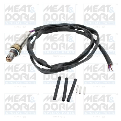 Oxygen Sensor